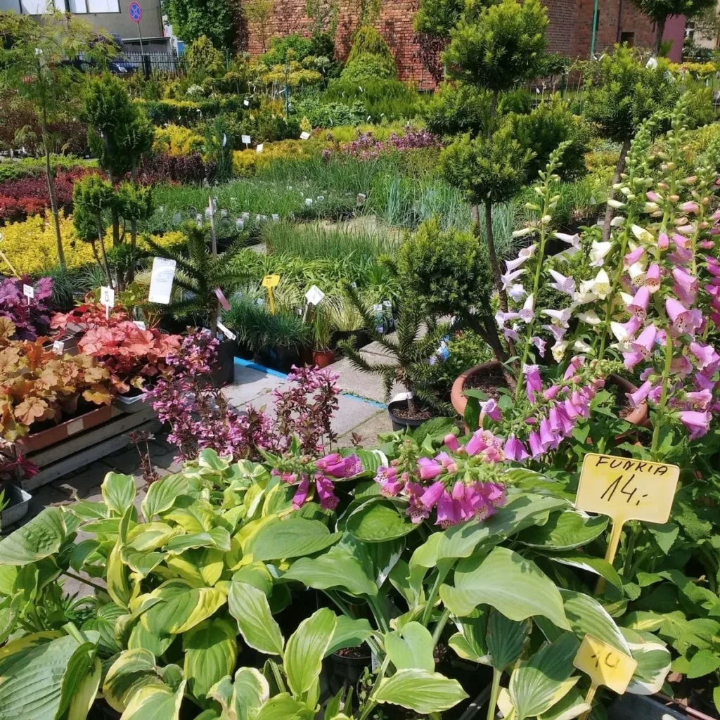 cómo cuidar un jardín